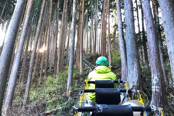 東京からプライベート奥多摩＆檜原日帰り旅行｜払沢の滝