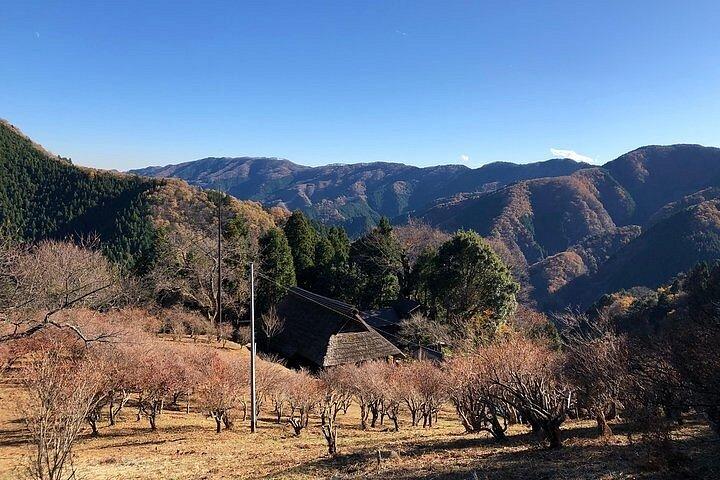 東京からプライベート奥多摩＆檜原日帰り旅行｜払沢の滝