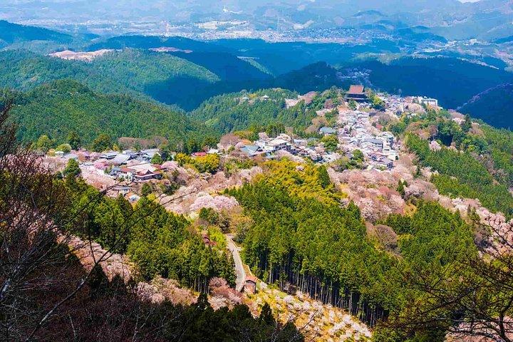 大阪＆京都から吉野山桜プライベート日帰りツアー