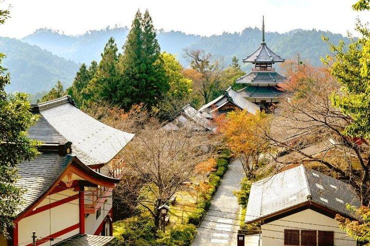 Mount Yoshino Cherry Blossom Private Day Tour from Osaka & Kyoto