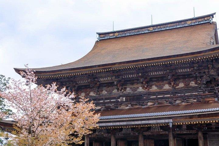 大阪＆京都から吉野山桜プライベート日帰りツアー