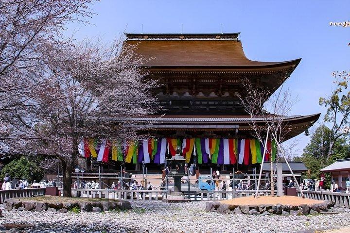 大阪＆京都から吉野山桜プライベート日帰りツアー