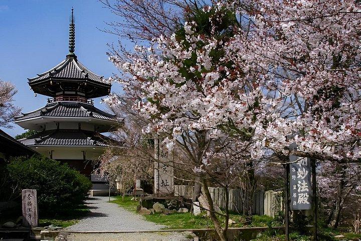 大阪＆京都から吉野山桜プライベート日帰りツアー