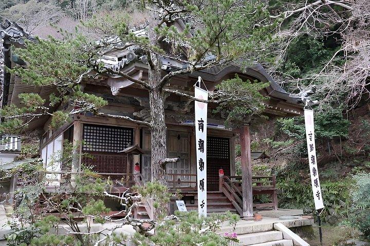 大阪＆京都から吉野山桜プライベート日帰りツアー