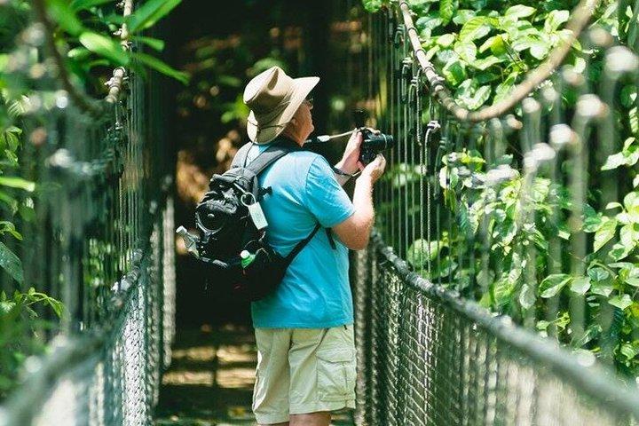 Tour de Medio Día: Tirolesa en el Rainforest con Almuerzo