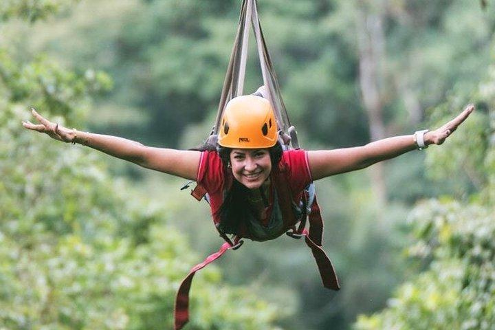 Tour de Medio Día: Tirolesa en el Rainforest con Almuerzo