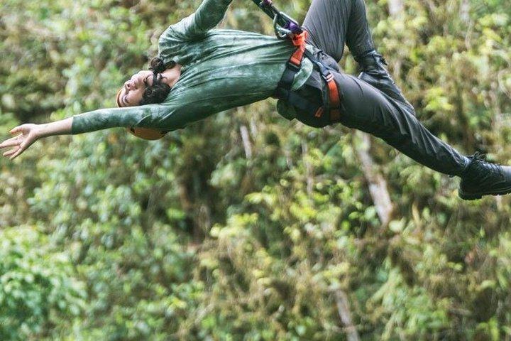 Tour de Medio Día: Tirolesa en el Rainforest con Almuerzo