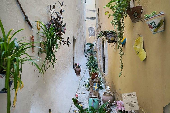 プライベートカディス海岸ウォーキングツアー歴史市場と地元の味