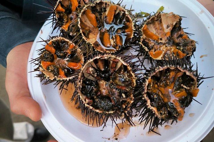プライベートカディス海岸ウォーキングツアー歴史市場と地元の味