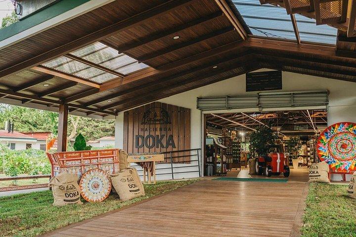 サンホセから見たコスタリカのコーヒー農園とポアス火山