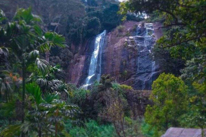 Visite privée d'une journée de Kandy à Nuwara Eliya avec visite d'une usine de thé