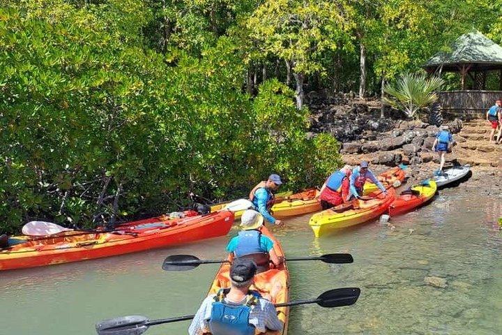 Zanzibar : kayak delle mangrovie dell'isola di Uzi con tour del villaggio e pick up