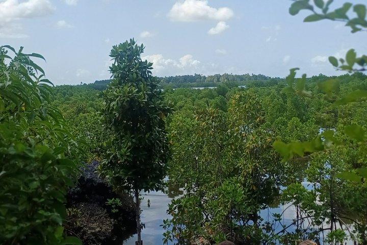 Zanzibar : kayak delle mangrovie dell'isola di Uzi con tour del villaggio e pick up