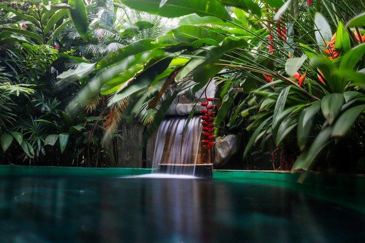 Arenal Hot Springs + Arenal Volcano from San Jose with Lunch