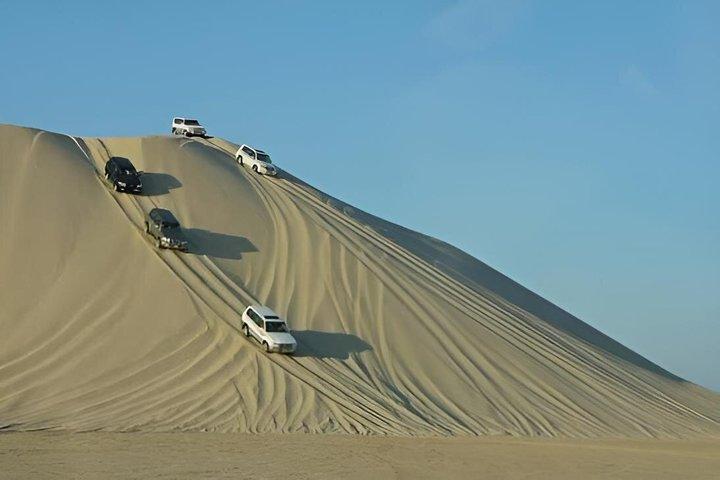 Private Doha Desert Safari: Dune Bashing & Mar Interior