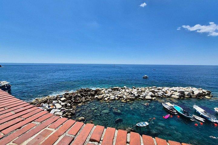Cinque Terre e Pisa Tour di un'intera giornata da Firenze