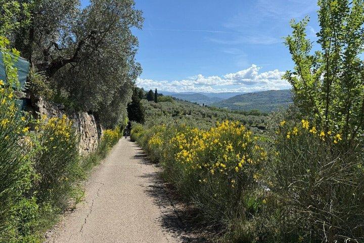 Florence : Excursion à vélo électrique avec dégustation d'huile d'olive ou détente dans la piscine