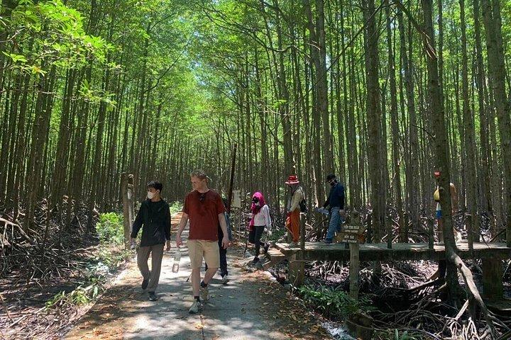 Explore Can Gio Mangrove Forest Eco Trekking And Nature Escape