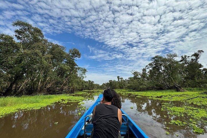 Explore Can Gio Mangrove Forest Eco Trekking And Nature Escape