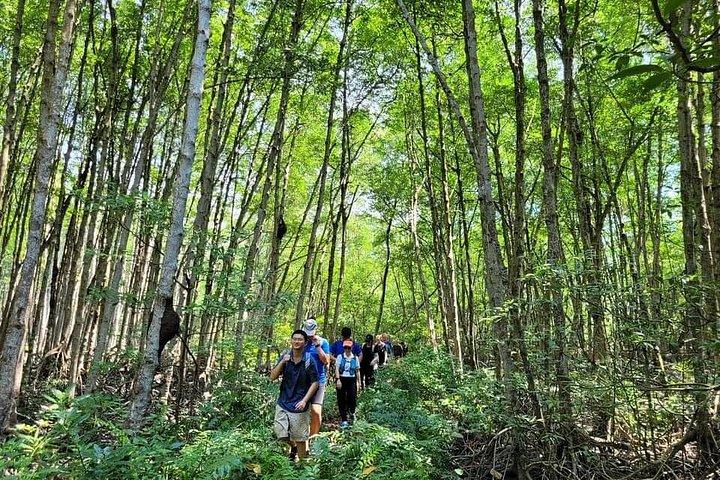 Explore Can Gio Mangrove Forest Eco Trekking And Nature Escape