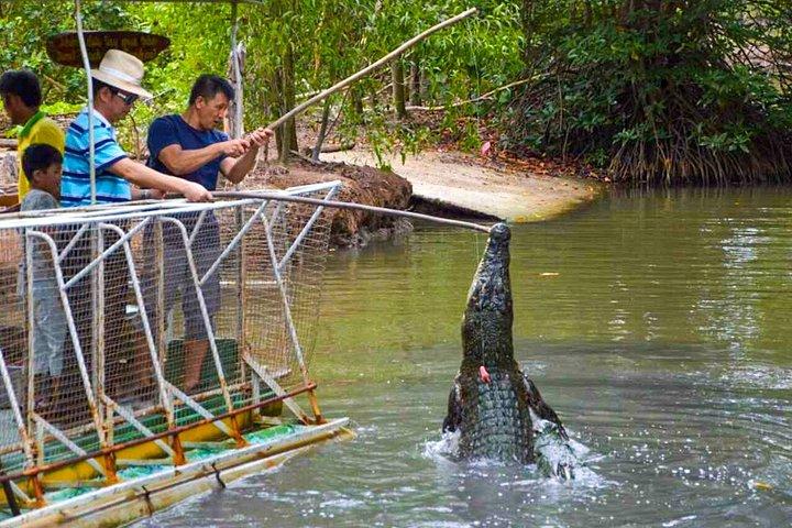 Explore Can Gio Mangrove Forest Eco Trekking And Nature Escape