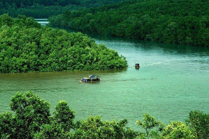 Explore Can Gio Mangrove Forest Eco Trekking And Nature Escape
