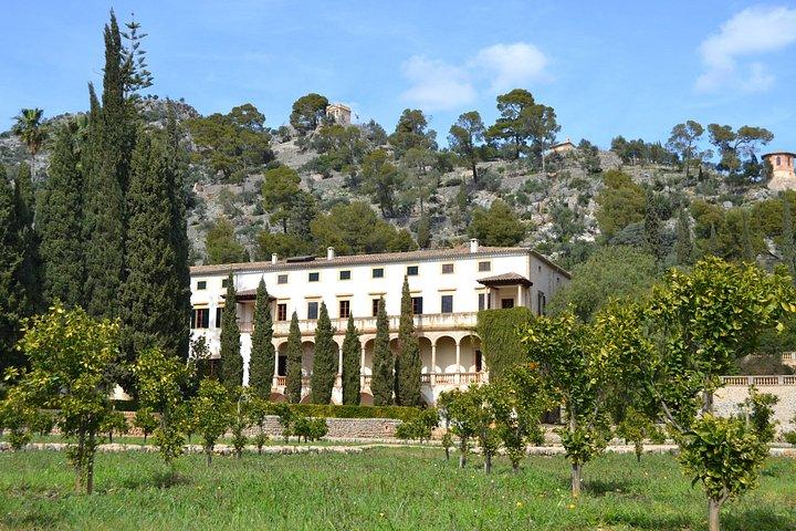 Private Tour Mallorca's West Coast and Orange Valley