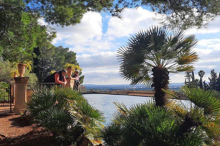 Private Tour Mallorca's West Coast and Orange Valley