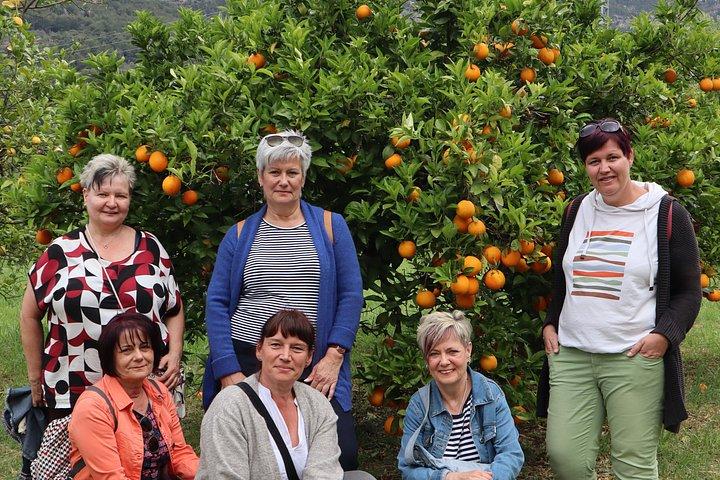 Private Tour Mallorca's West Coast and Orange Valley