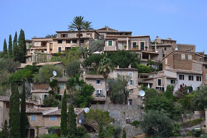 Private Tour Mallorca's West Coast and Orange Valley