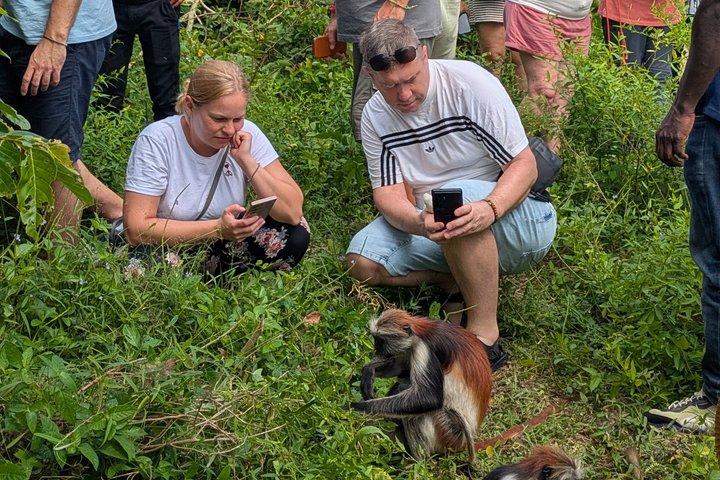 Explore Zanzibar with Jozani Red Colobus Monkey and Turtle Swim