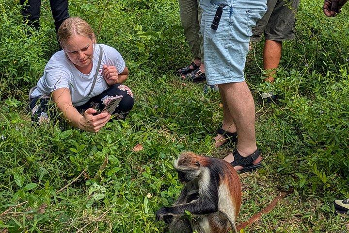 Explore Zanzibar with Jozani Red Colobus Monkey and Turtle Swim