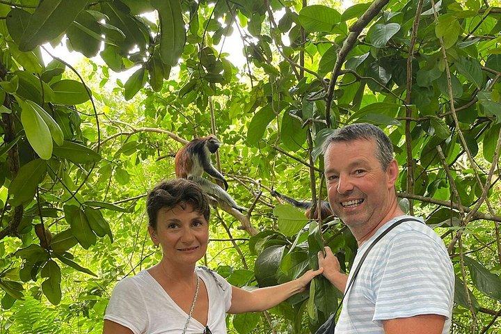 Explore Zanzibar with Jozani Red Colobus Monkey and Turtle Swim