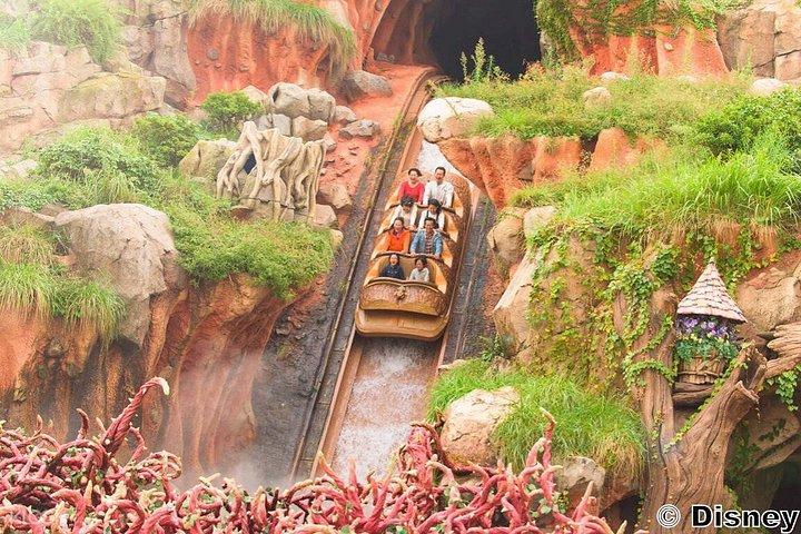 東京リゾート東京ディズニーランドと東京ディズニーシーパーク