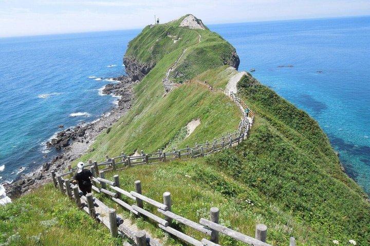 札幌発神威岬＆島威海岸観光日帰りツアー