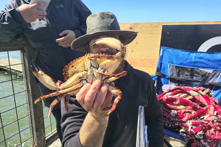 Crabbing Adventure at Tomales Bay