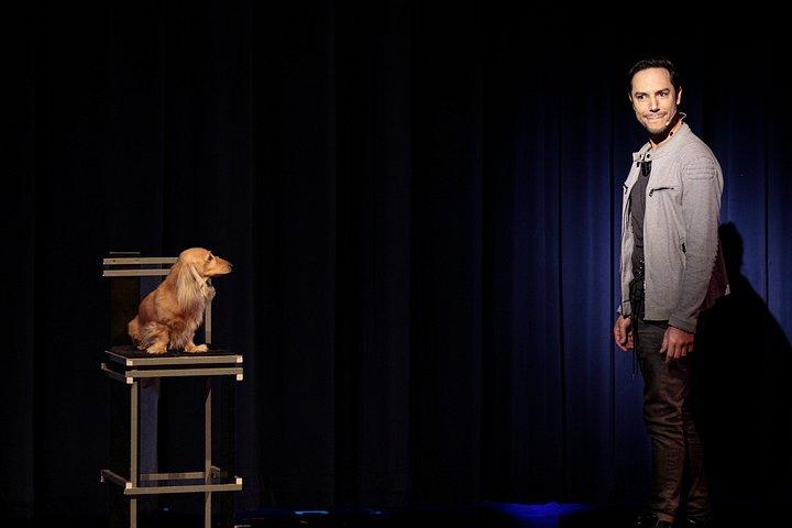 Alex Ramon Magic Show Ticket, Lake Tahoe