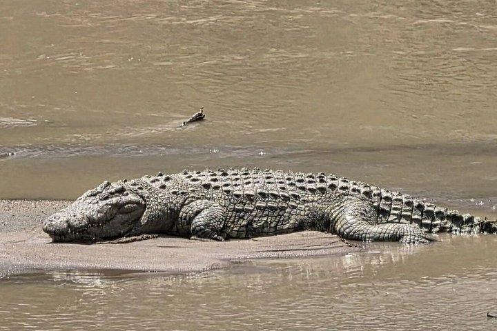 ナイロビ発アンボセリ国立公園3日間サファリ