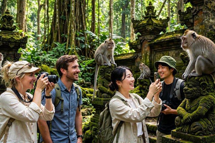 ウブドモンキーフォレスト寺院の滝と棚田ツアー