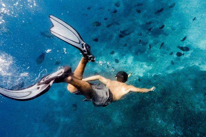 Scuba Diving and Snorkeling Tours Nusa Penida by Penidago