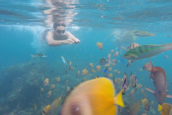 Escursioni subacquee e snorkeling Nusa Penida by Penidago