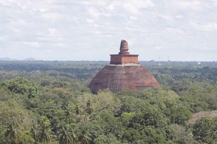 ダンブッラからアヌラーダプラトゥクトゥク日帰り旅行古代遺跡を探索