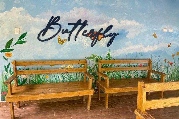 Puerto Plata: City Tour, Culture and Stories