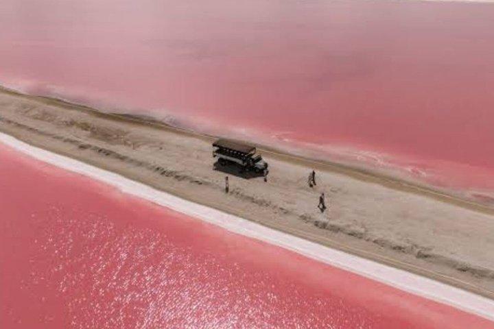 Passeio à Laguna Rosa e aos flamingos em Las Coloradas, Río Lagartos