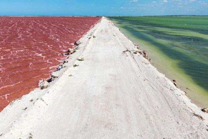 Passeio à Laguna Rosa e aos flamingos em Las Coloradas, Río Lagartos