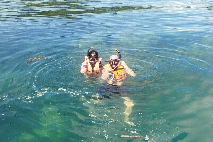 プライベートロングテールボート体験ピッグアイランドあなたの方法