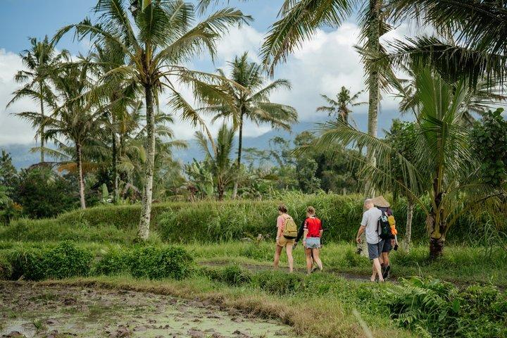 Heart of Bali : 5 - Dagstur till Bali från Astungkara Way