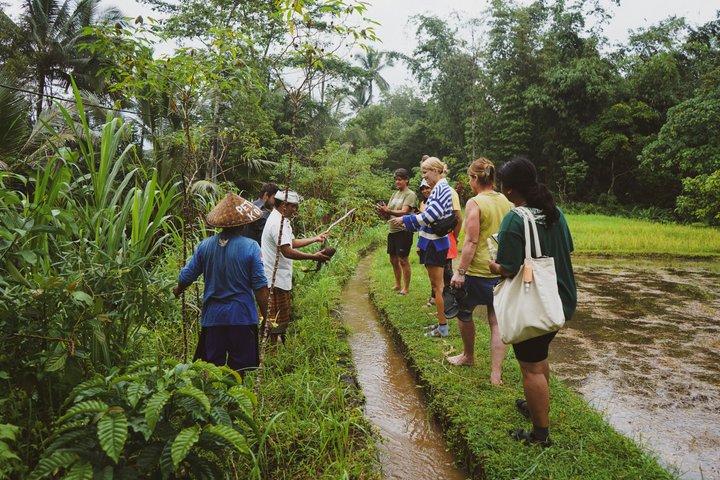 Heart of Bali : 5 - Dagstur till Bali från Astungkara Way