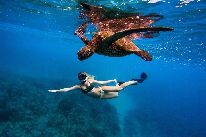 Avventura di snorkeling privato a Mirissa con GoPro e trasferimenti
