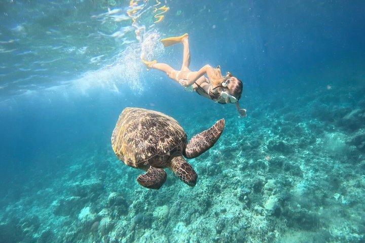 Avventura di snorkeling privato a Mirissa con GoPro e trasferimenti